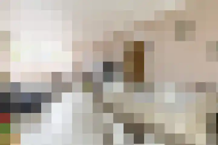 Leeuwerikstraat 16 Strijen thumbnail 13