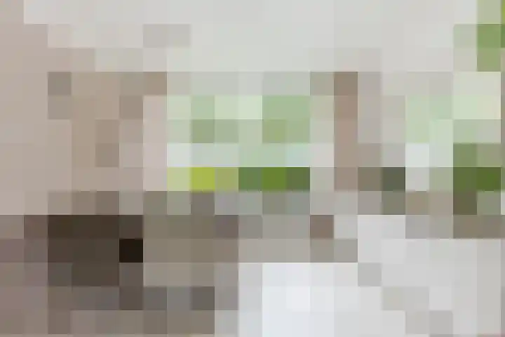 Leeuwerikstraat 16 Strijen thumbnail 14
