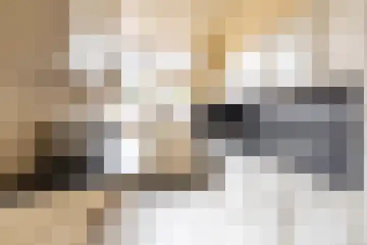Leeuwerikstraat 16 Strijen thumbnail 15