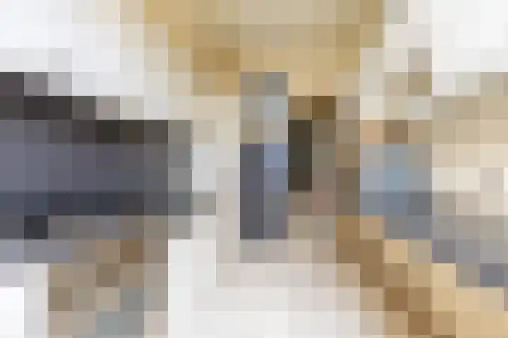 Leeuwerikstraat 16 Strijen thumbnail 16