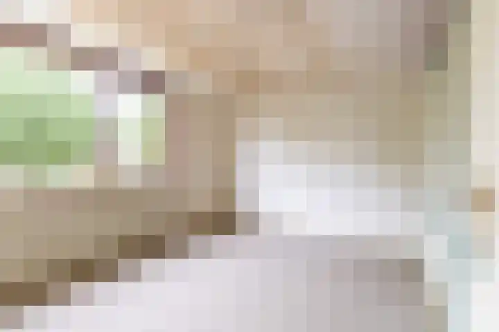 Leeuwerikstraat 16 Strijen thumbnail 21