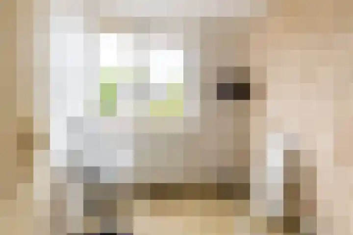 Leeuwerikstraat 16 Strijen thumbnail 23