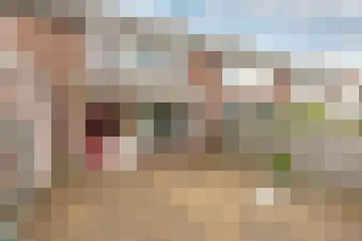 Leeuwerikstraat 16 Strijen thumbnail 4