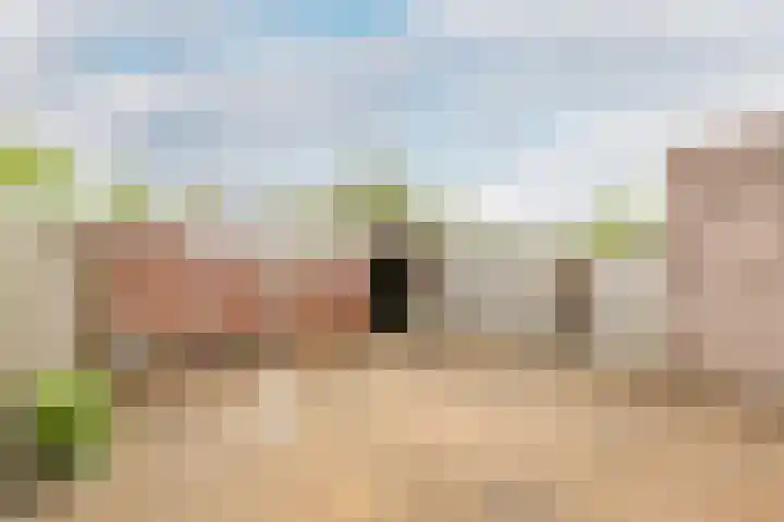 Leeuwerikstraat 16 Strijen thumbnail 5