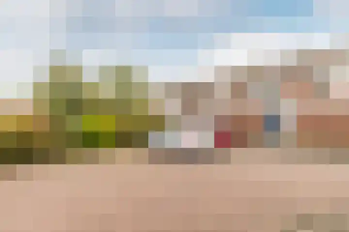 Leeuwerikstraat 16 Strijen thumbnail 7