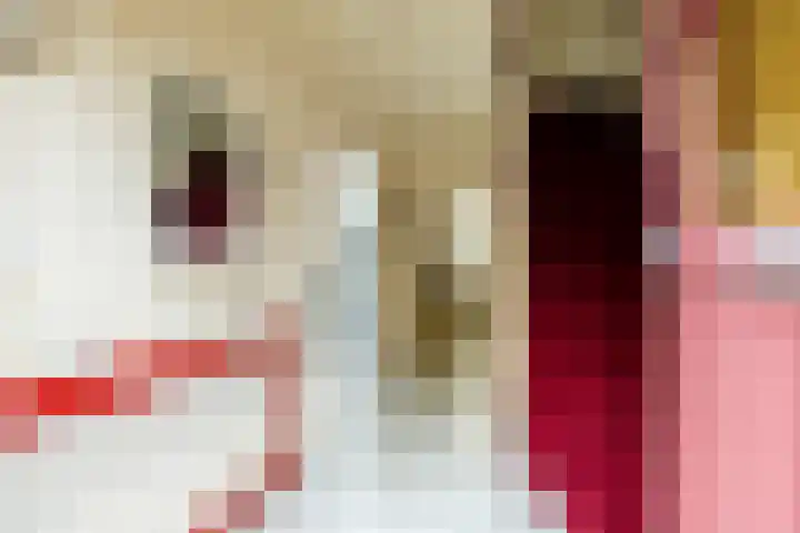 Leeuwerikstraat 16 Strijen thumbnail 8