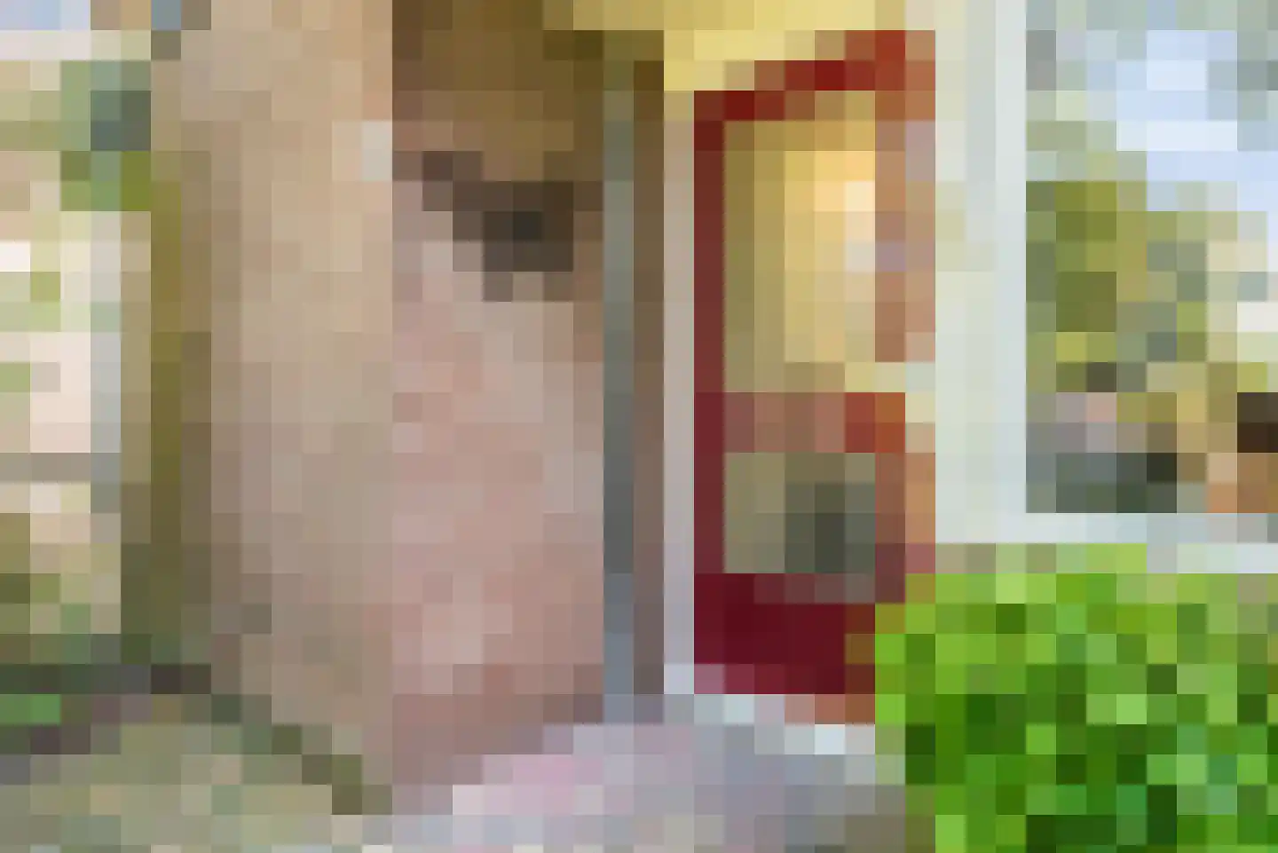 Leeuwerikstraat 17 Ermelo thumbnail 7