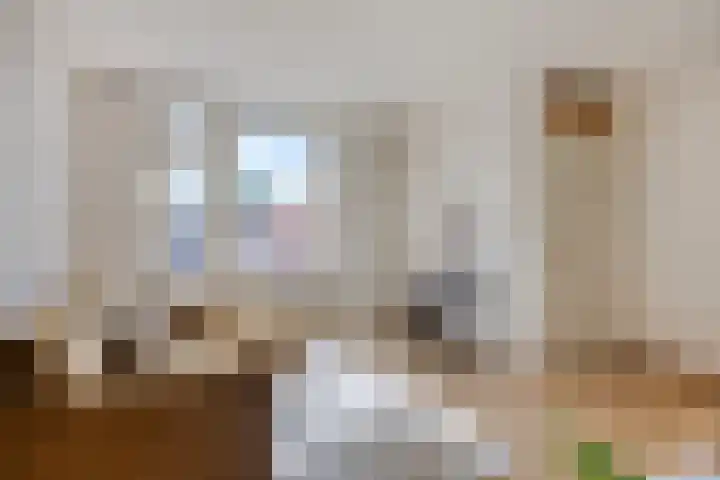 Leeuwerikstraat 18 De Rips thumbnail 10