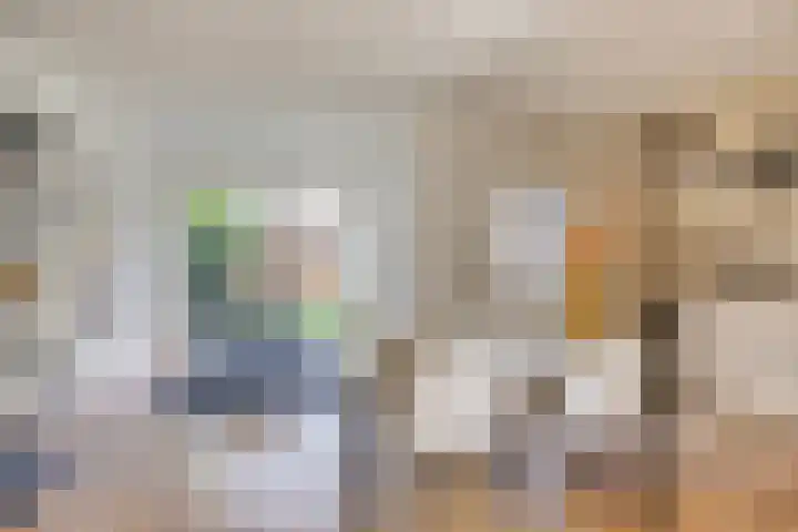 Leeuwerikstraat 18 De Rips thumbnail 11