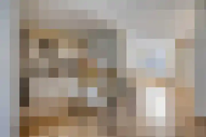 Leeuwerikstraat 18 De Rips thumbnail 12