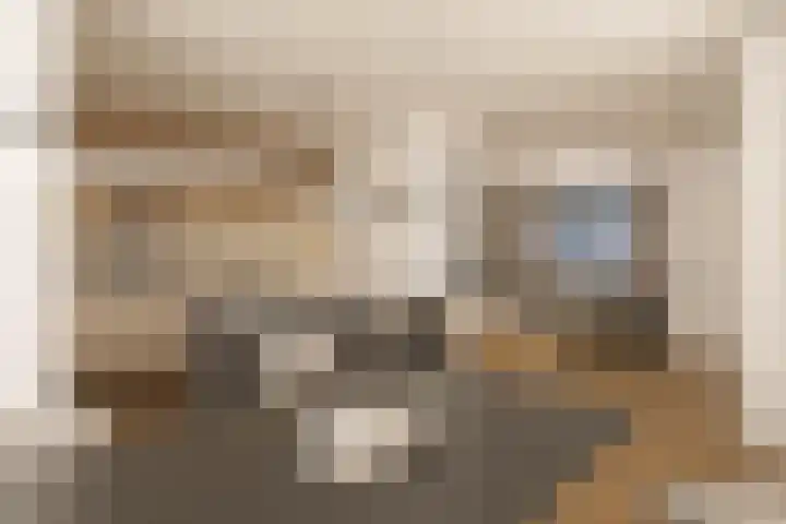 Leeuwerikstraat 18 De Rips thumbnail 13