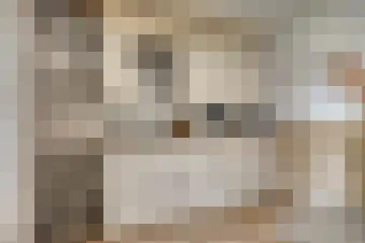 Leeuwerikstraat 18 De Rips thumbnail 17