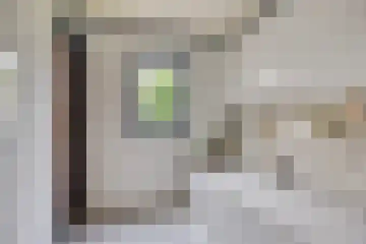 Leeuwerikstraat 18 De Rips thumbnail 20