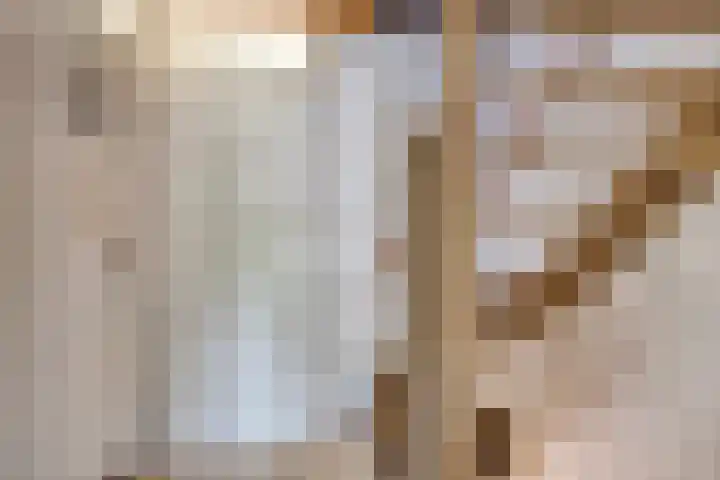 Leeuwerikstraat 18 De Rips thumbnail 21