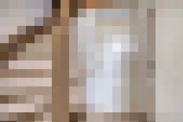 Leeuwerikstraat 18 De Rips thumbnail 22