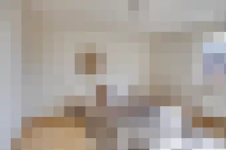 Leeuwerikstraat 18 De Rips thumbnail 23