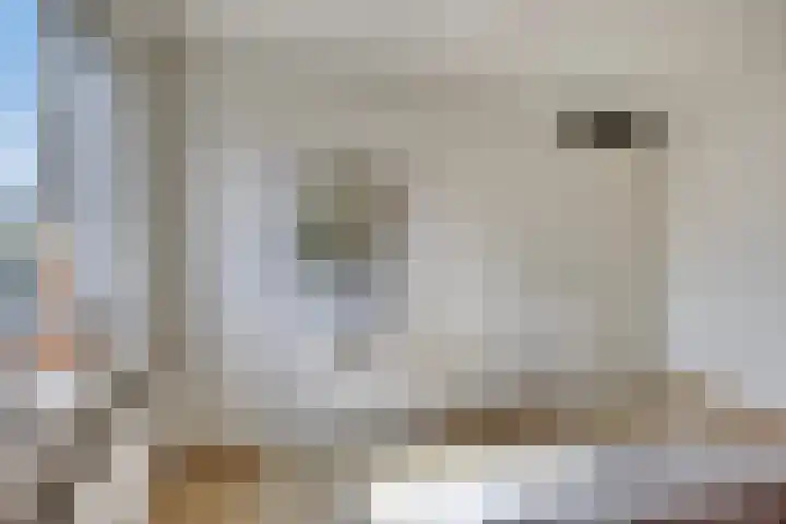 Leeuwerikstraat 18 De Rips thumbnail 24