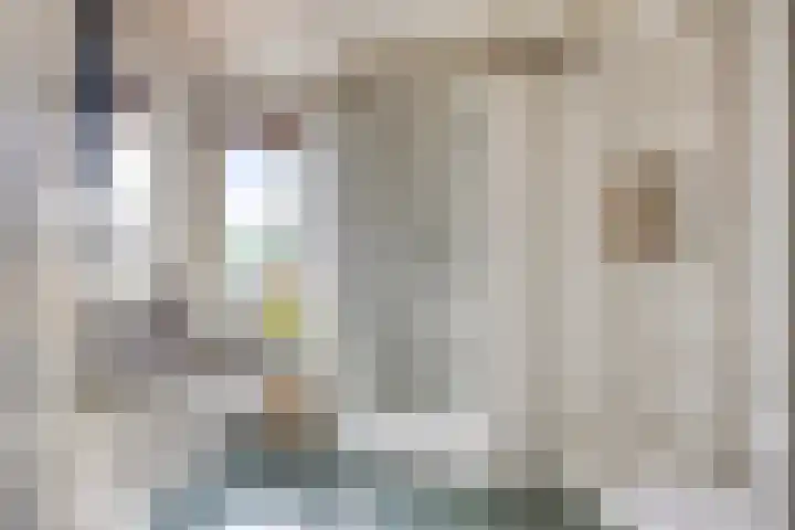 Leeuwerikstraat 18 De Rips thumbnail 25