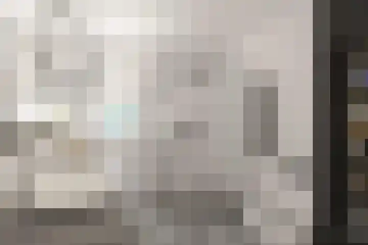 Leeuwerikstraat 18 De Rips thumbnail 27