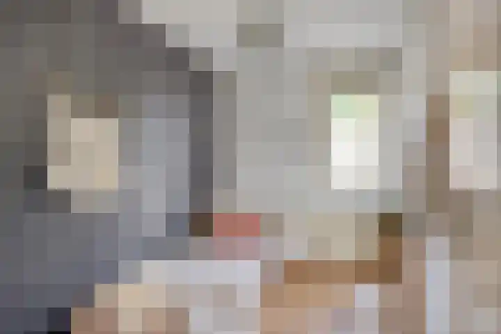 Leeuwerikstraat 18 De Rips thumbnail 29