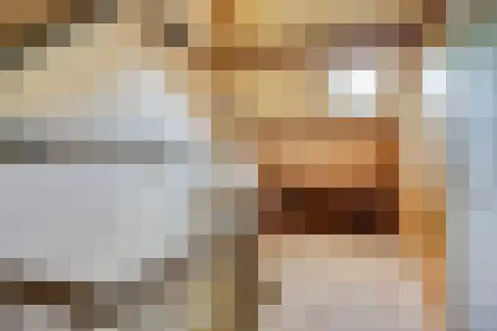 Leeuwerikstraat 18 De Rips thumbnail 30