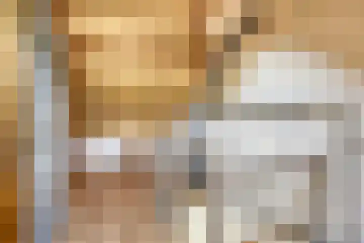 Leeuwerikstraat 18 De Rips thumbnail 31