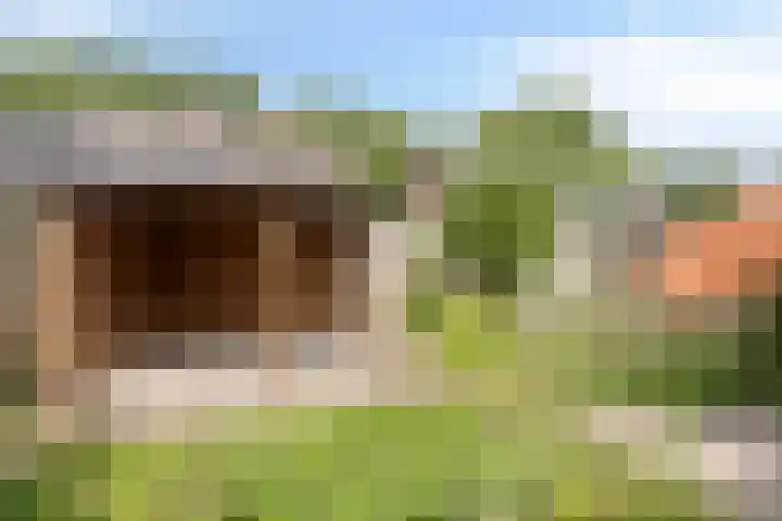 Leeuwerikstraat 18 De Rips thumbnail 35