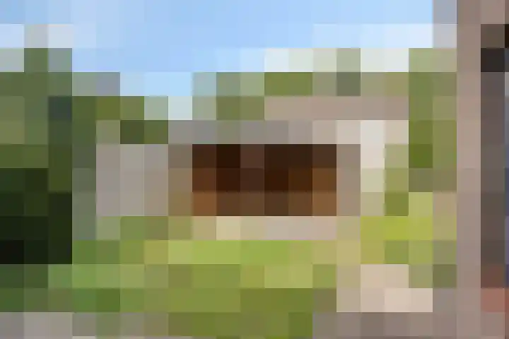 Leeuwerikstraat 18 De Rips thumbnail 36