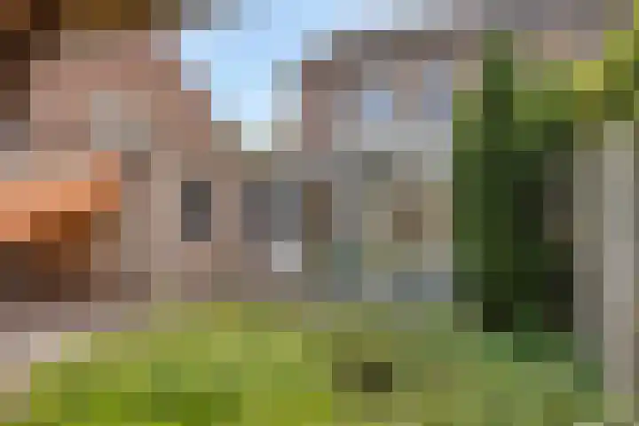 Leeuwerikstraat 18 De Rips thumbnail 37
