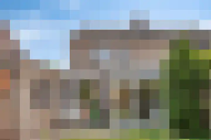 Leeuwerikstraat 18 De Rips thumbnail 38