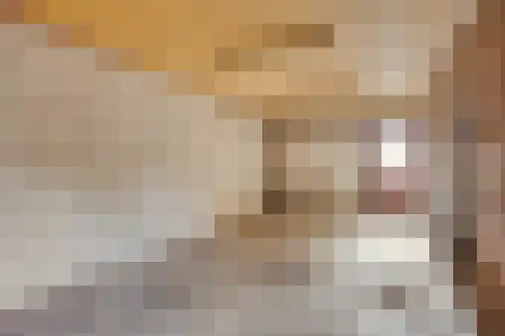 Leeuwerikstraat 18 De Rips thumbnail 39