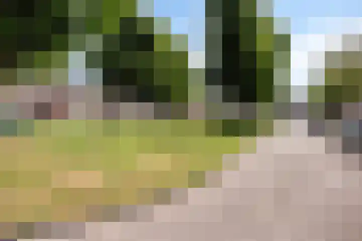 Leeuwerikstraat 18 De Rips thumbnail 4