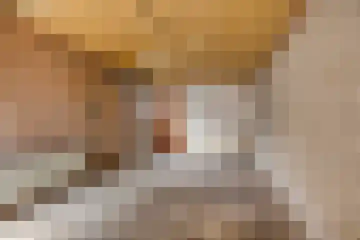 Leeuwerikstraat 18 De Rips thumbnail 40
