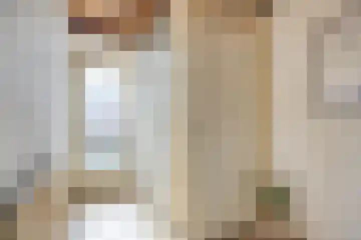 Leeuwerikstraat 18 De Rips thumbnail 6