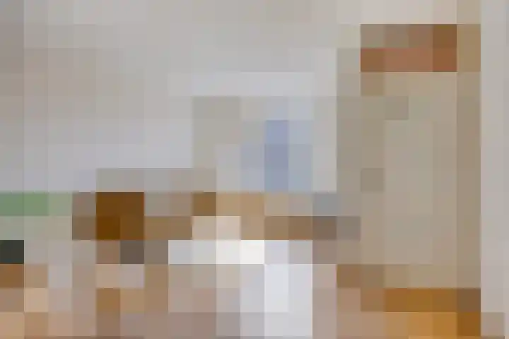 Leeuwerikstraat 18 De Rips thumbnail 7