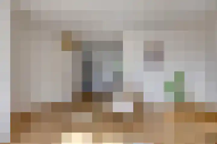 Leeuwerikstraat 18 De Rips thumbnail 9