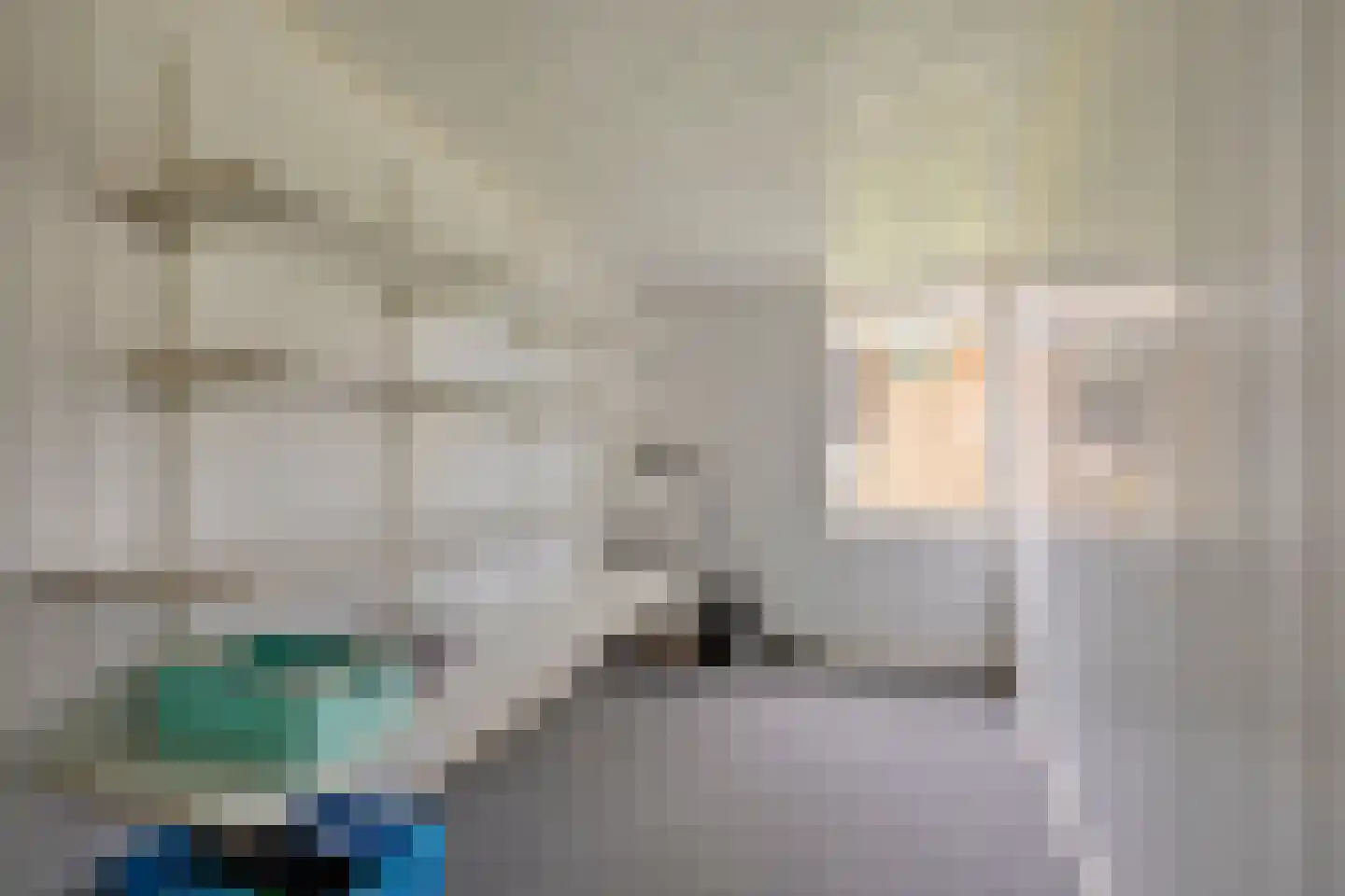 Leeuwerikstraat 19 Mill thumbnail 31