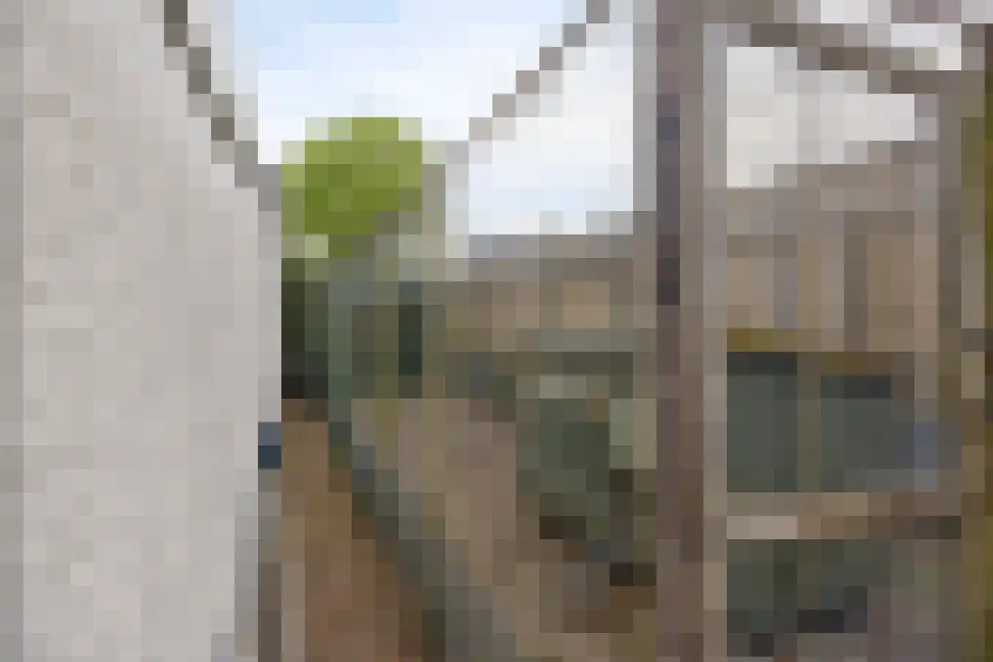 Leeuwerikstraat 19 Mill thumbnail 40