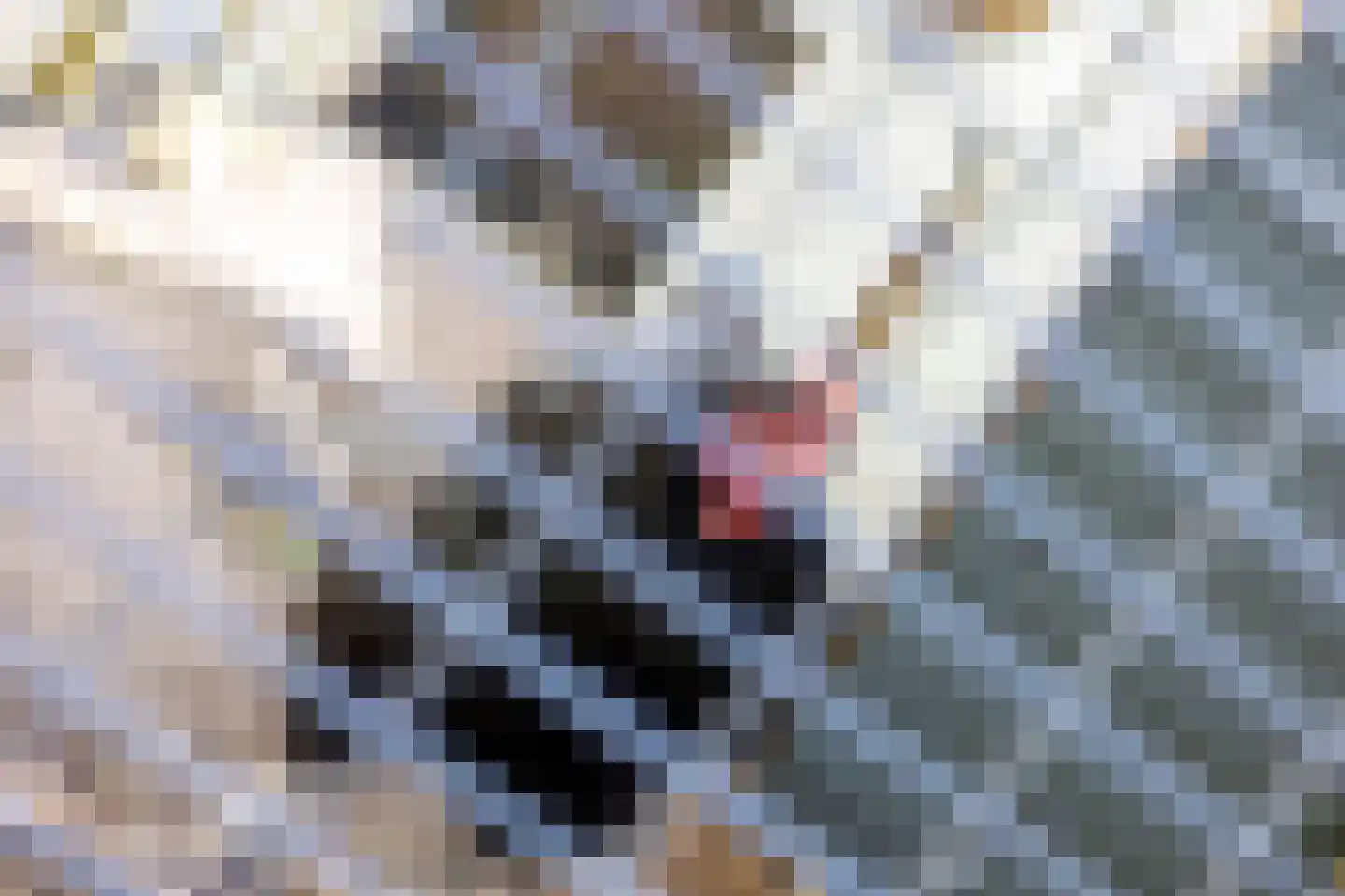 Leeuwerikstraat 19 Mill thumbnail 42