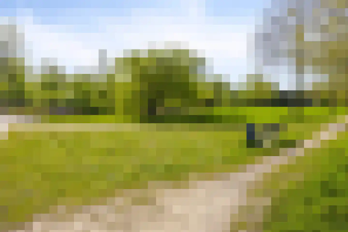 Leeuwerikstraat 19 Mill thumbnail 46
