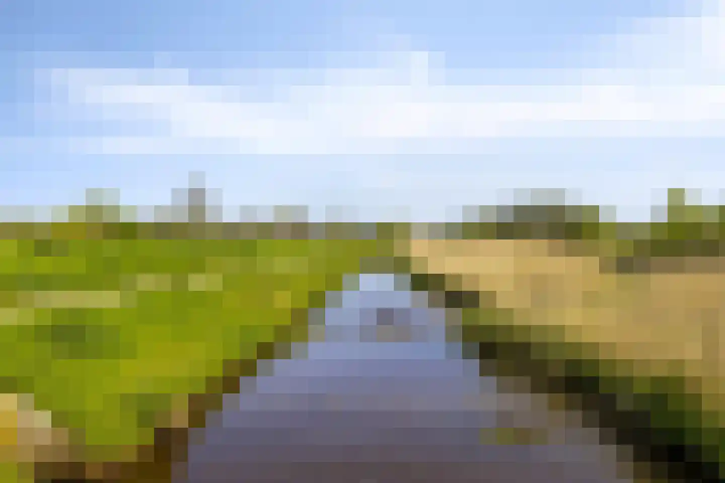Leeuwerikstraat 19 Mill thumbnail 47