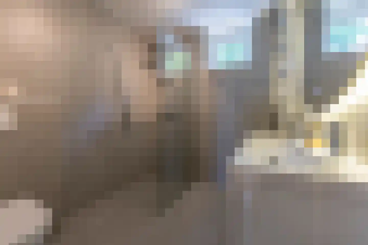 Leeuwerikstraat 19 Vught thumbnail 4