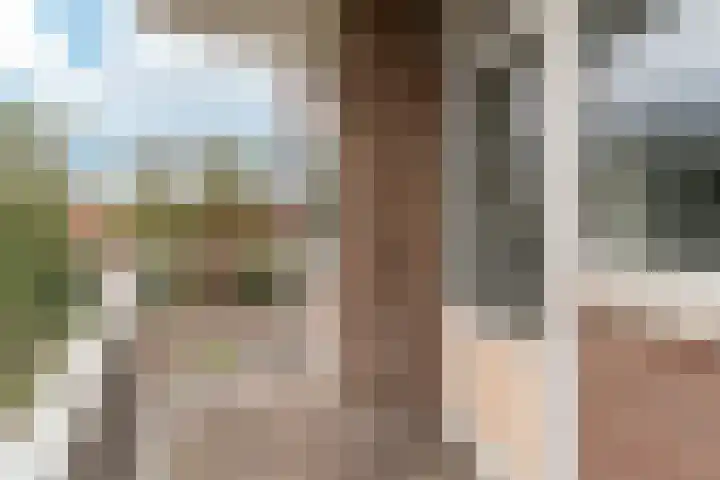 Leeuwerikstraat 19 Wormerveer thumbnail 13