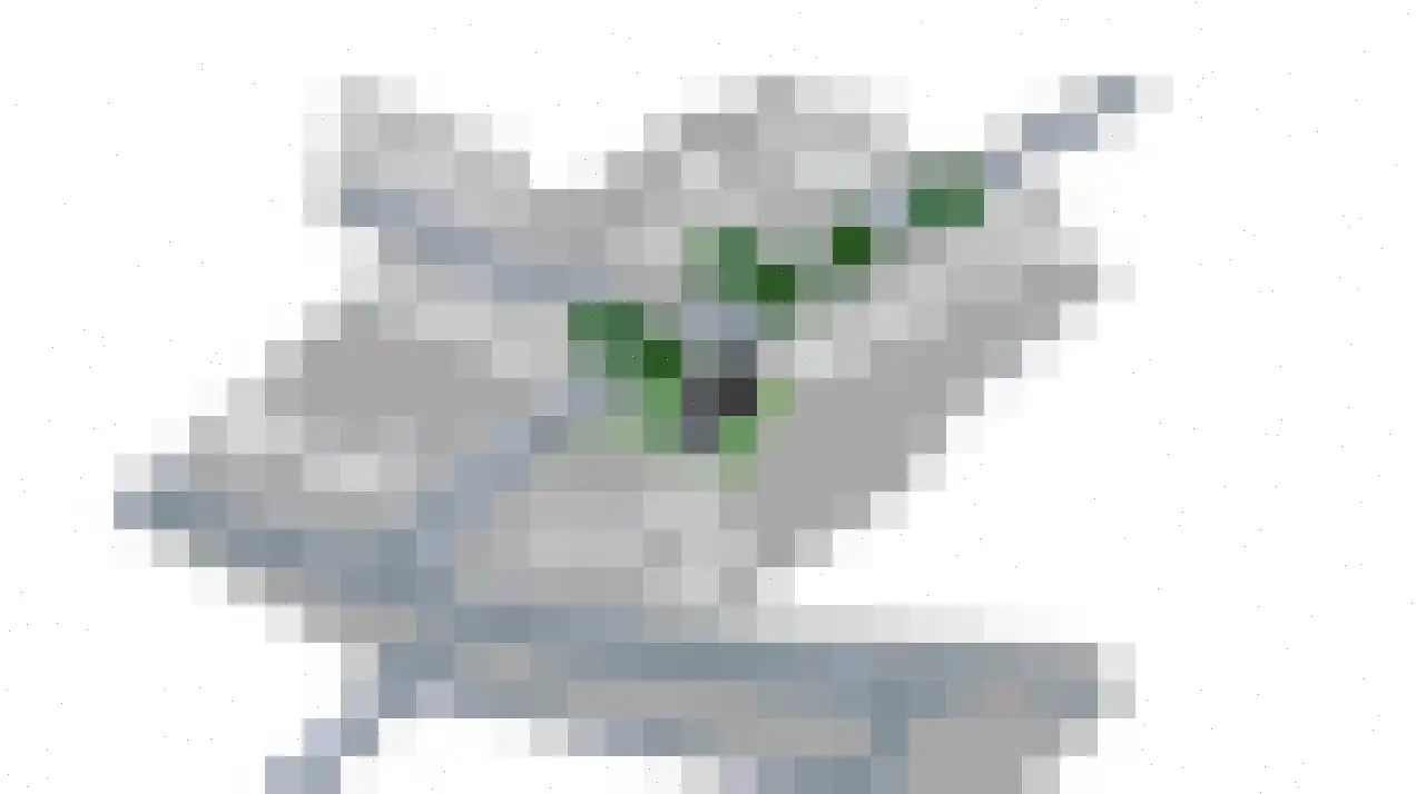 Leeuwerikstraat 2 A Barneveld thumbnail 8