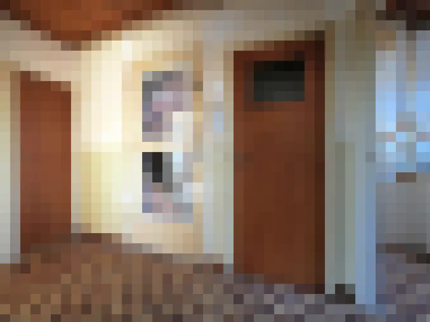 Leeuwerikstraat 2 B Papendrecht thumbnail 12