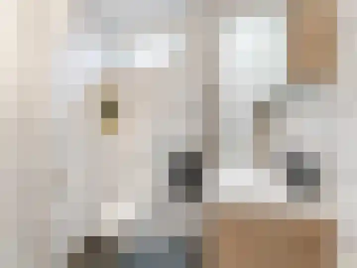 Leeuwerikstraat 2 Vianen thumbnail 21