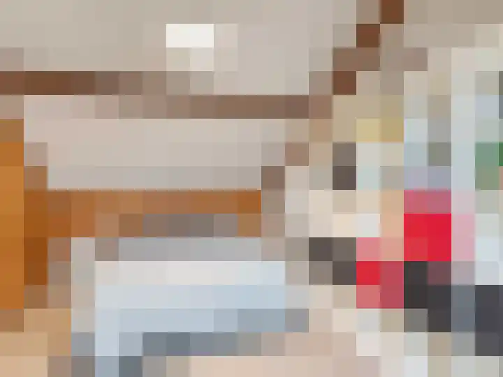 Leeuwerikstraat 2 Vianen thumbnail 27