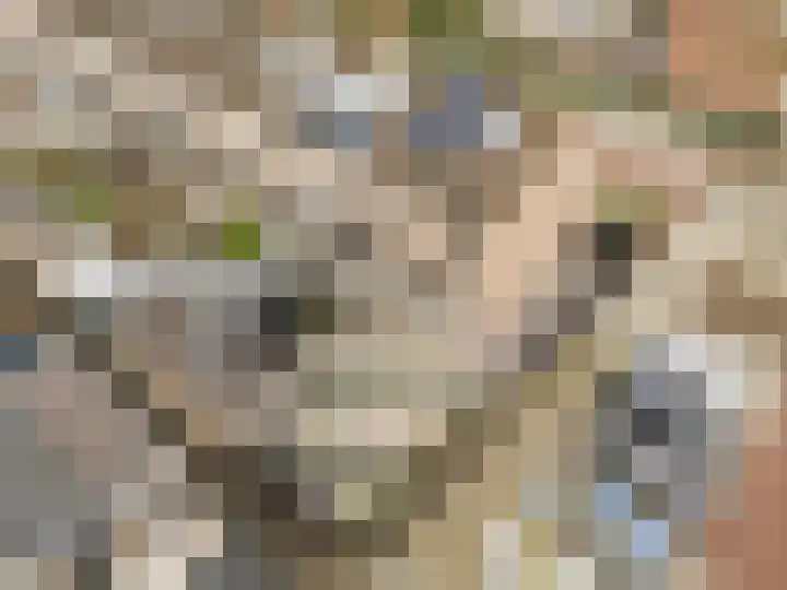 Leeuwerikstraat 2 Vianen thumbnail 31