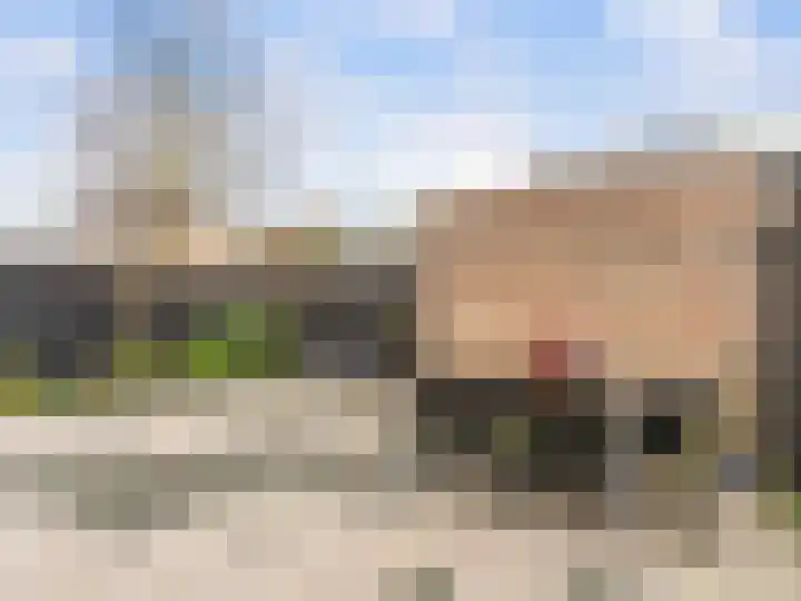 Leeuwerikstraat 2 Vianen thumbnail 32