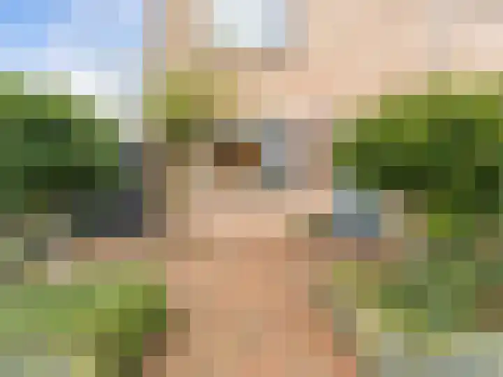 Leeuwerikstraat 2 Vianen thumbnail 35